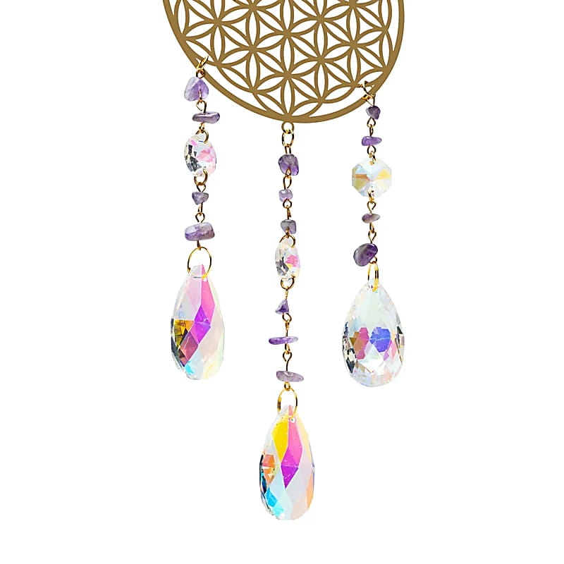22983.jpg