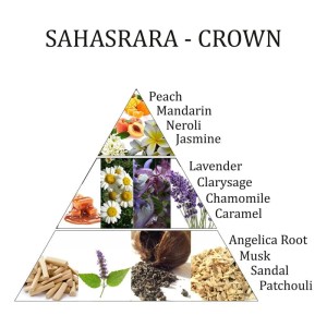 18692.jpg