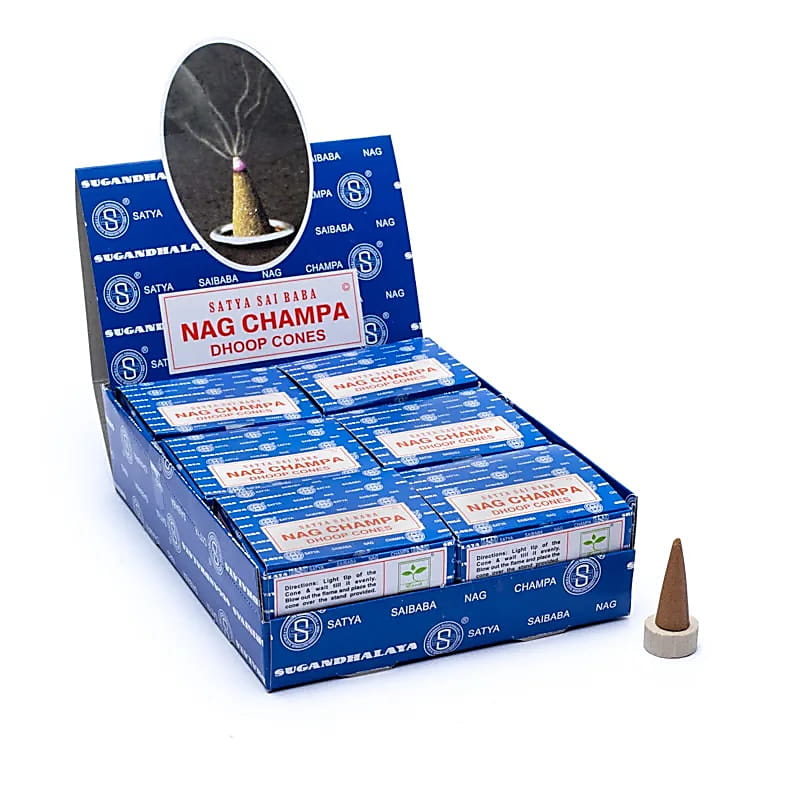19678.jpg