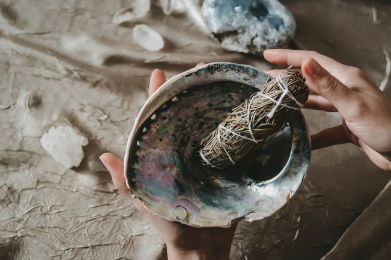 13655.jpg