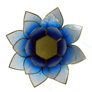 19687.jpg